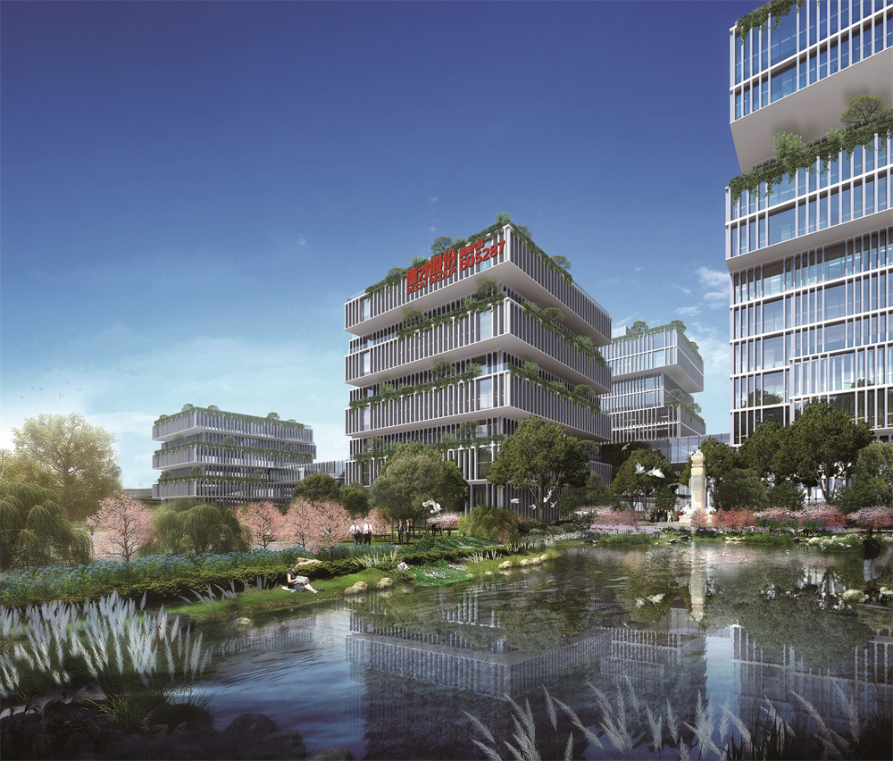 稳健前行，共筑绿色未来—Stake股份2024年ESG实践成效